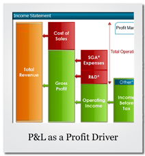 P&L as a Profit Driver
